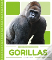 Capa do artigo Gorillas