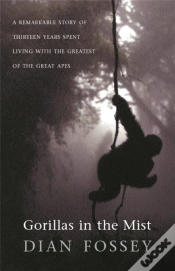 Capa do artigo Gorillas In The Mist