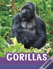 Capa do artigo Gorillas