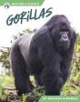 Gorillas - Preview