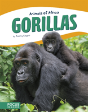 Gorillas - Preview