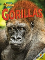 Capa do artigo Gorillas