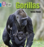 Gorillas - Preview