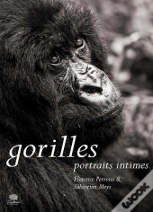 Gorilles ; Portraits Intimes