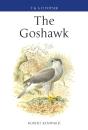 Goshawk - Preview