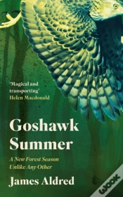 Capa do artigo Goshawk Summer