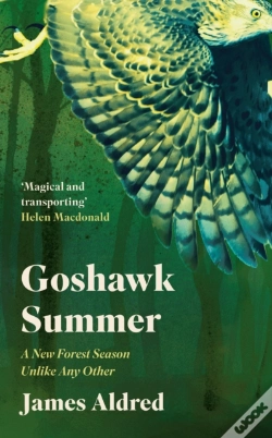 Capa do artigo Goshawk Summer