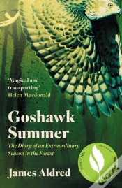 Capa do artigo Goshawk Summer