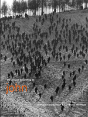 Gospel According To John - Preview