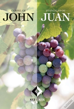 Capa do artigo Gospel Of John-Pr-Nlt/Os