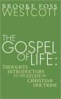 Gospel Of Life - Preview