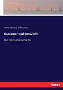 Gossamer And Snowdrift