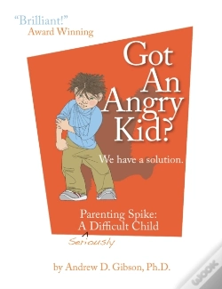 Capa do artigo Got An Angry Kid?