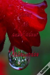 Capa do artigo Gotas De Minh