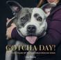 Gotcha Day - Preview