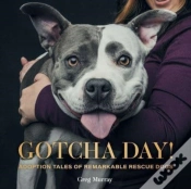 Capa do artigo Gotcha Day