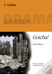 Capa do artigo Gotcha