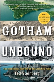 Capa do artigo Gotham Unbound