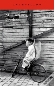 Capa do artigo Gottland