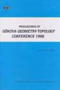 Goukova Geometry-Topology Conf 98 - Preview
