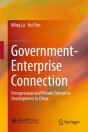 Government-Enterprise Connection - Preview