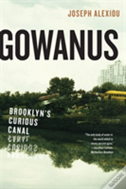 Capa do artigo Gowanus
