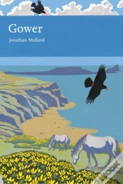 Capa do artigo Gower