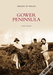 Capa do artigo Gower Peninsula