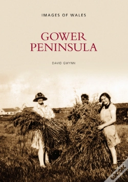 Capa do artigo Gower Peninsula