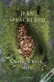 Capa do artigo Goyle, Chert, Mire