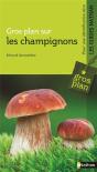 Gp Les Champignons - Preview