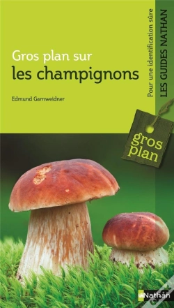 Capa do artigo Gp Les Champignons