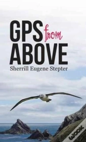 Gps From Above