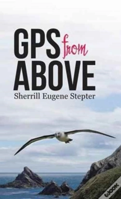 Capa do artigo Gps From Above