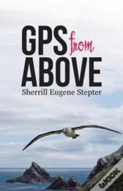 Capa do artigo Gps From Above
