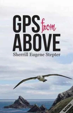 Capa do artigo Gps From Above