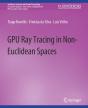 Gpu Ray Tracing In Non-Euclidean Spaces - Preview