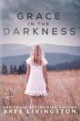 Grace In The Darkness - Preview