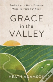 Capa do artigo Grace In The Valley