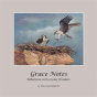 Grace Notes - Preview
