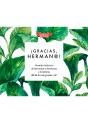 Gracias, Herman@ - Preview