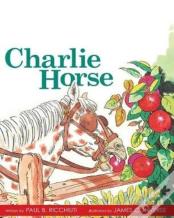 Grade 2 Charlie Horse