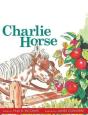 Grade 2 Charlie Horse - Preview