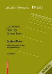 Capa do artigo Gradient Flows