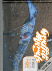 Capa do artigo Graffiti Murals