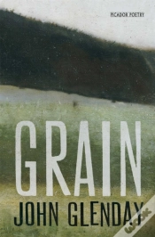 Capa do artigo Grain