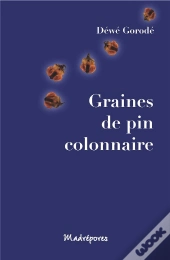 Graines De Pin Colonnaire