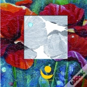 Capa do artigo Graines & Fleurs