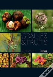 Capa do artigo Graines Et Fruits