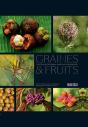 Graines Et Fruits - Preview